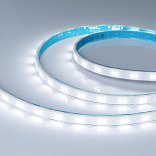 Светодиодная лента герметичная XRT-TPU-A80-12mm 24V White6000 (10 W/m, IP67, 10m) (Arlight, CRI>90)