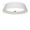 Потолочный светильник FR10013CL-L24W Элементы 24 Вт LED