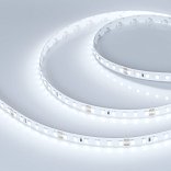 Светодиодная лента RT-A120-8mm 24V White6000 (9.6 W/m, IP20, 2835, 5m) (Arlight, 9.6 Вт/м, IP20)