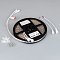 Светодиодная лента герметичная SPI-P-B60-12mm 5V RGB-PX1-BPT (12 W/m, IP66, 5060, 5m) (Arlight, бегущий огонь)