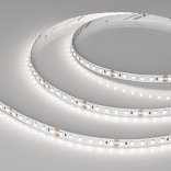 Светодиодная лента NT-A120-8mm 24V Day5000 (9.6 W/m, IP20, 3528, 5m) (Arlight, Открытый)