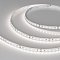 Светодиодная лента NT-A120-8mm 24V Day5000 (9.6 W/m, IP20, 3528, 5m) (Arlight, Открытый)
