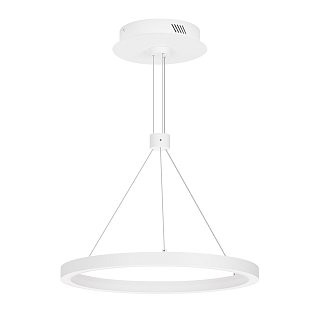 Светильник SP-CONGO-CAN-1-R400-24W Day4000 (WH, 120 deg, 230V) (Arlight, IP20 Металл, 5 лет)