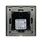 Розетка электрическая с Zigbee управлением SCT-OMALI-EUZB1-PL-BK (240V, 16A, Zigbee) (Arlight, -)
