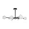 Люстра FR5328CL-08B Флористический / Floristic G9x8