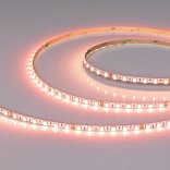 Светодиодная лента RT-H96-5mm 24V RGBW-Day-4-in-1 (10 W/m, IP20, 5m) (Arlight, узкая)