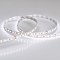 Светодиодная лента MICROLED-M240-8mm 24V White-CDW (9.6 W/m, IP20, 2216, 5m) (Arlight, Открытый)