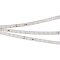 Светодиодная лента RT-50000 48V Day4000 (3528, 78 LED/m, 50m) (Arlight, 4 Вт/м, IP20)
