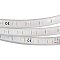 Светодиодная лента ARL-W5060PG-54-220V Blue (540 LED, 10m) (Arlight, 9 Вт/м, IP67)