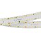 Светодиодная лента S2-A280-20mm 24V Day4000 (20 W/m, IP20, 2835, 2.5m) (Arlight, Открытый)