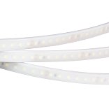 Светодиодная лента RTW 2-5000PW 24V White6000 2x (3528, 600 LED, LUX) (Arlight, 9.6 Вт/м, IP66)