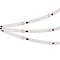 Светодиодная лента SPI-BA120-12mm 24V RGBW-Day-PX6-BPT (16 W/m, IP20, 5060/2835, 5m) (Arlight, бегущий огонь)