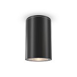 Потолочный светильник Ролл / Roll GU10х1 50Вт IP 54