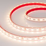 Светодиодная лента герметичная RTW-PS-B60-12mm 12V Warm3000 (14.4 W/m, IP67, 5060, 5m) (Arlight, 14.4 Вт/м, IP67)