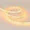 Светодиодная лента RTW 2-5000SE 24V Yellow 2x (3528, 600 LED, LUX) (Arlight, 9.6 Вт/м, IP65)
