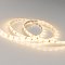 Светодиодная лента RTW 2-5000SE 12V Warm (3528, 300 LED, LUX) (Arlight, 4.8 Вт/м, IP65)