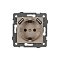 Механизм розетки с USB зарядкой SCT-MUAA-PL-GD-V (250V, 16A) (Arlight, -)
