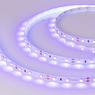 Светодиодная лента RT-A60-8mm 12V UV400 (4.8 W/m, IP20, 2835, 5m) (Arlight, Открытый)