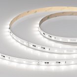 Светодиодная лента IC-A60-10mm 24V Day5000 (4.8 W/m, IP20, 2835, 20m) (Arlight, 4.8 Вт/м, IP20)