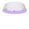 Потолочный светильник FR10013CL-L24W Элементы 24 Вт LED