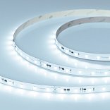 Светодиодная лента IC-A60-10mm 24V Cool 8K (4.8 W/m, IP20, 2835, 20m) (Arlight, 4.8 Вт/м, IP20)