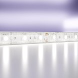 Светодиодная лента 12В 5050 14,4Вт/м 6000K 5м IP65