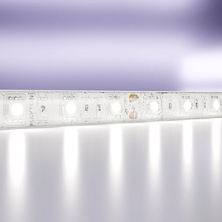 Светодиодная лента 12В 5050 14,4Вт/м 6000K 5м IP65