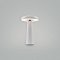 Аккумуляторный светильник Гриб / Mushroom