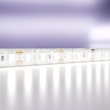 Светодиодная лента 12В 2835 14,4Вт/м 6000K 5м IP65