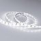 Светодиодная лента RTW 2-5000SE 12V White (3528, 300 LED, LUX) (Arlight, 4.8 Вт/м, IP65)