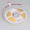 Светодиодная лента COB-S-X480-8mm 24V Day4000 (6 W/m, IP20, 5m) (Arlight, боковое свечение)
