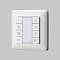 Кнопочная настенная панель 2 сцены, 1 группа DALI DT8 Цветной (RGB)+W