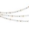 Светодиодная лента RS 2-5000 12V Day5000 (3014, 60 LED/m, LUX) (Arlight, 4.8 Вт/м, IP20)