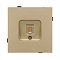 Механизм компьютерной розетки SCT-TENDO-MPC1-SFPL-GD (RJ-45, CAT6) (Arlight, Матовый песочный)