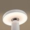 Аккумуляторный светильник Гриб / Mushroom