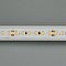 Светодиодная лента IC2-A120-12mm 24V White6000 (9.6W/m, IP20, 2835, 20m) (Arlight, 9.6 Вт/м, IP20)