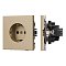 Механизм электрической розетки SCT-TENDO-MEU1-SFPL-GD (230V, 16A) (Arlight, Матовый песочный)