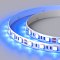 Светодиодная лента RTW 2-5000SE 12V Blue 2x (5060, 300 LED, LUX) (Arlight, 14.4 Вт/м, IP65)