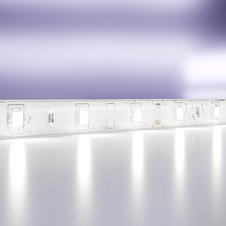 Светодиодная лента 12В 2835 4,8Вт/м 6000K 5м IP65
