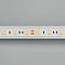 Светодиодная лента RT2-5050-60-12V White (300 LED) (NormaLED, 14.4 Вт/м, IP20)