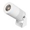 Светильник ALT-RAY-R44-8W Day4000 (WH, 33 deg, 230V) (Arlight, IP67 Металл, 3 года)
