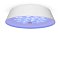 Потолочный светильник FR10013CL-L24W Элементы 24 Вт LED