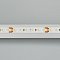 Светодиодная лента MICROLED-5000 24V White-CDW 8mm (2216, 240 LED/m, Bipolar) (Arlight, 9.6 Вт/м, IP20)