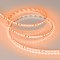 Светодиодная лента RT-A120-8mm 24V Orange (9.6 W/m, IP20, 2835, 5m) (Arlight, -)