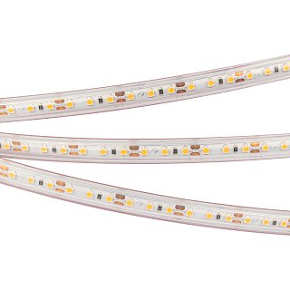 Светодиодная лента RTW 2-5000PS 12V White6000 2x (3528, 600 LED, LUX) (Arlight, 9.6 Вт/м, IP67)
