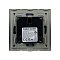 Розетка электрическая с Zigbee управлением SCT-OMALI-EUZB1-PL-GD (240V, 16A, Zigbee) (Arlight, -)