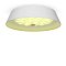 Потолочный светильник FR10013CL-L24W Элементы 24 Вт LED