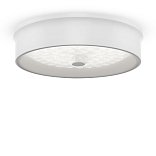 Потолочный светильник FR10011CL-L24W Элементы 24 Вт LED