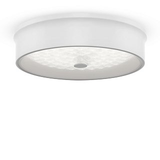 Потолочный светильник FR10011CL-L24W Элементы 24 Вт LED