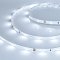 Светодиодная лента RT 2-5000 24V Cool 8K 0.5x (3528, 150 LED, LUX) (Arlight, 2.9 Вт/м, IP20)